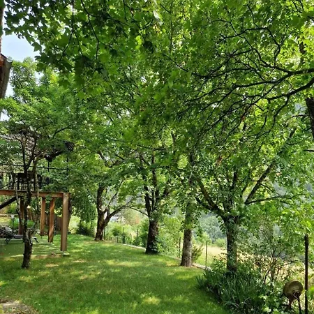 Le D'alfred * Prades (Lozere)